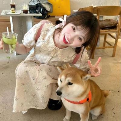 多桑不在家